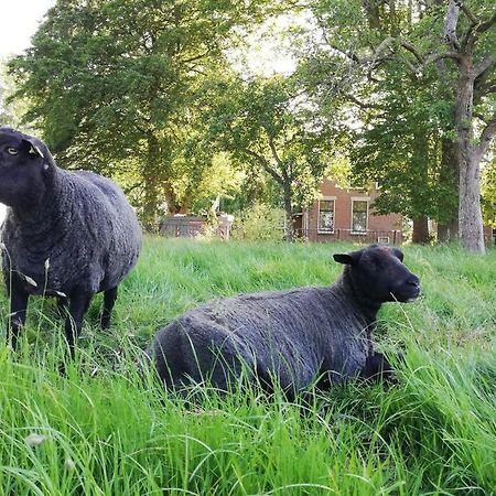 'T Pekelhuis - Vakantiehuisje Op Boerderij Huize Blokland Hem Dış mekan fotoğraf