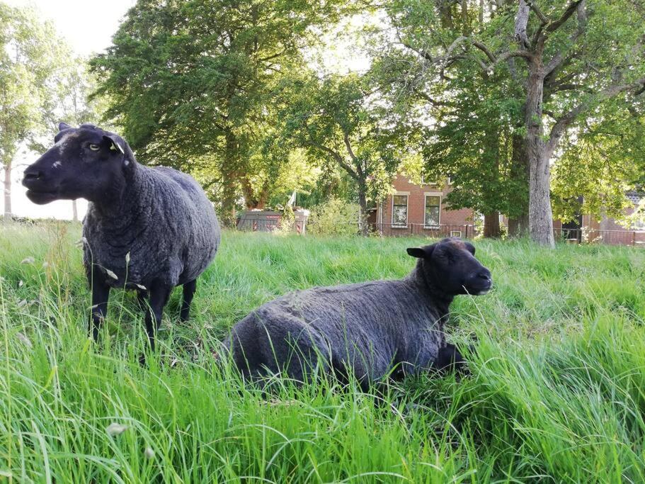 'T Pekelhuis - Vakantiehuisje Op Boerderij Huize Blokland Hem Dış mekan fotoğraf
